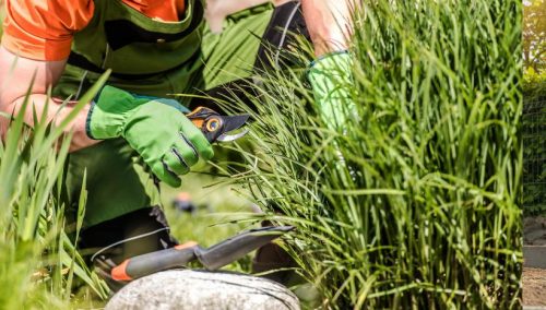 Freshen up flower beds