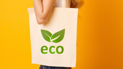 Use Eco-Friendly Bags