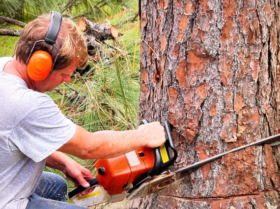 Tree cutting man